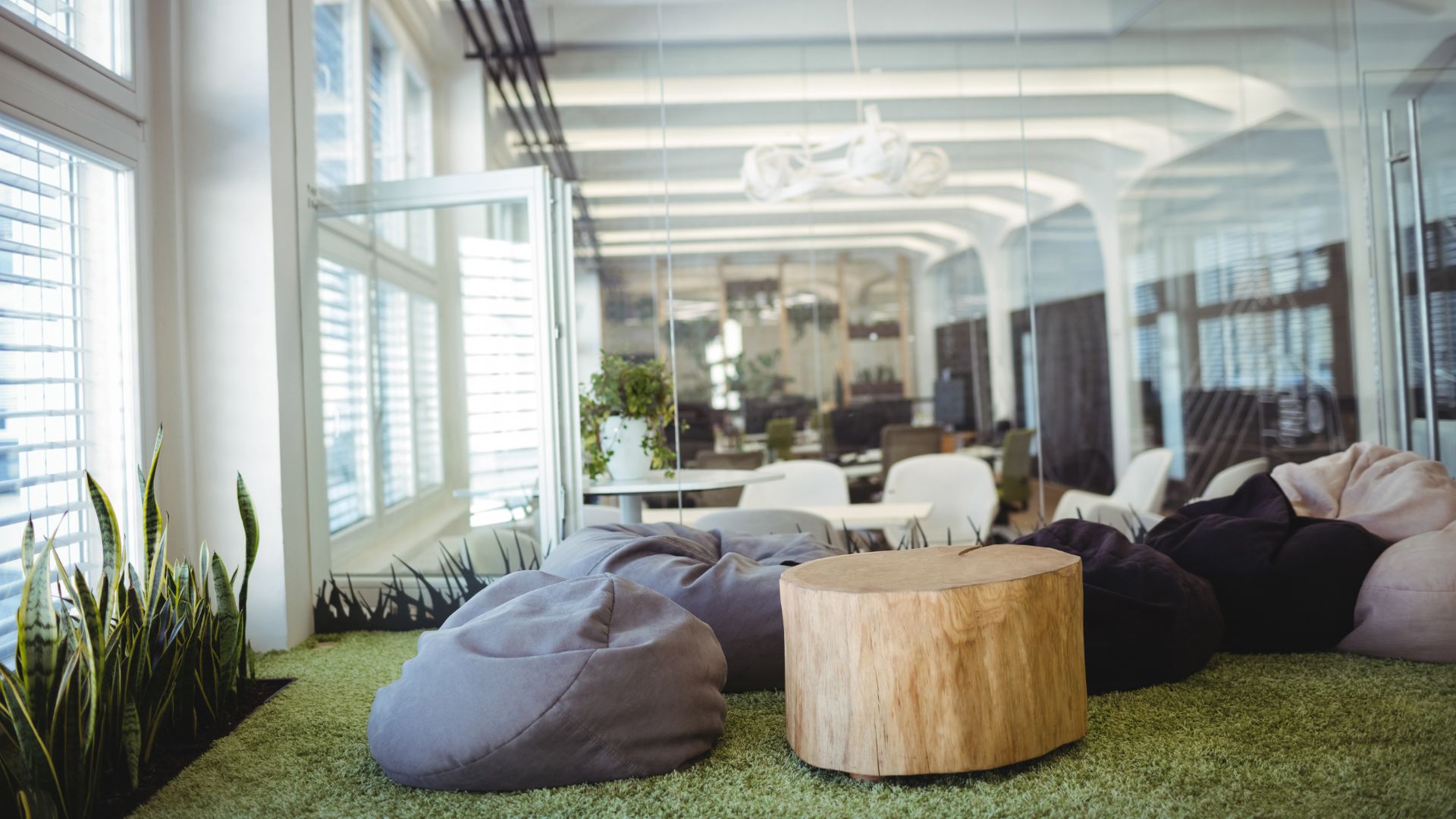 Building Sustainable Workspaces in Cape Town & Durban: How ProTurnKey Brings Circular Economy Principles Into Office Fit-Outs