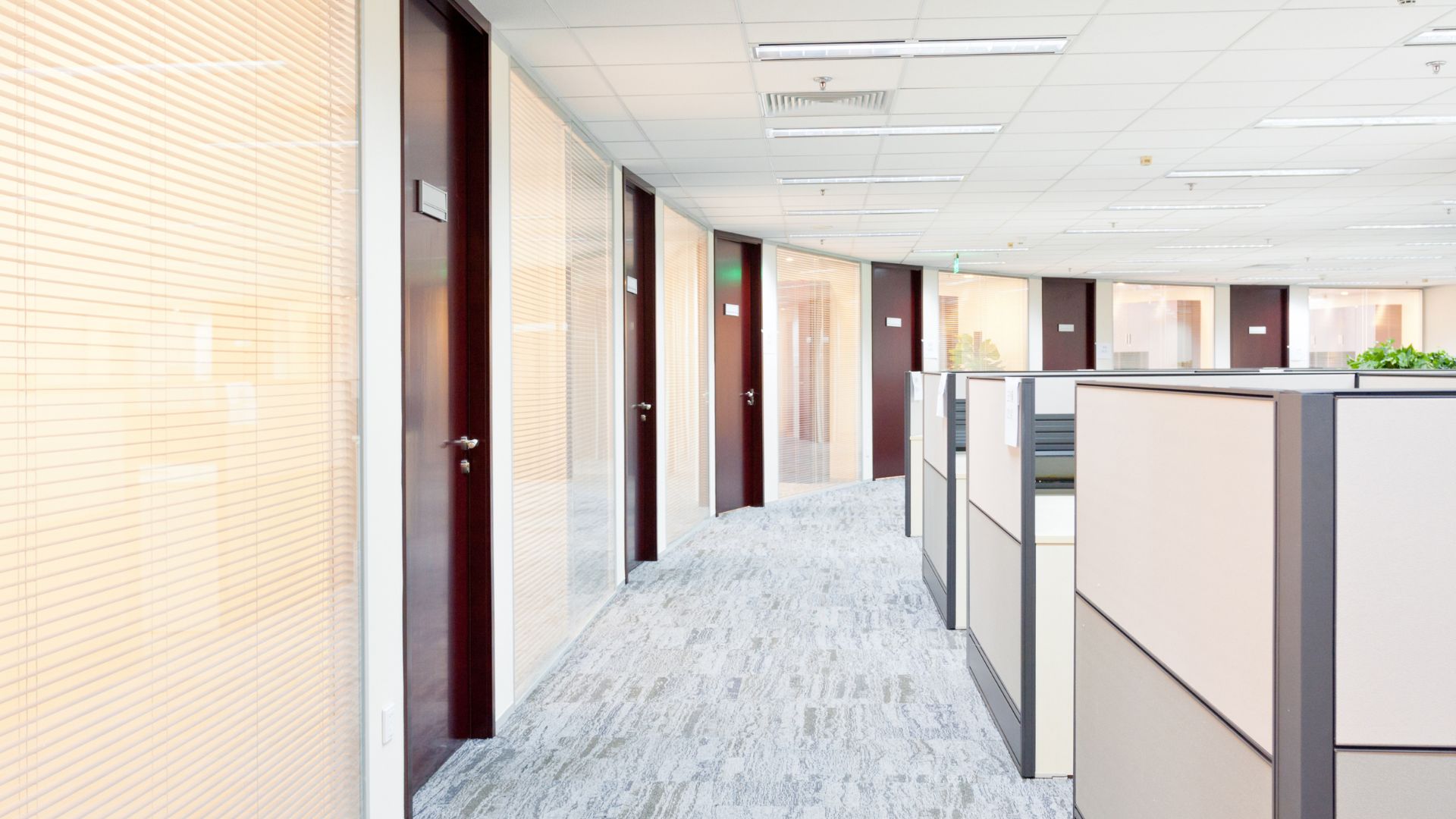 Office Interior Design