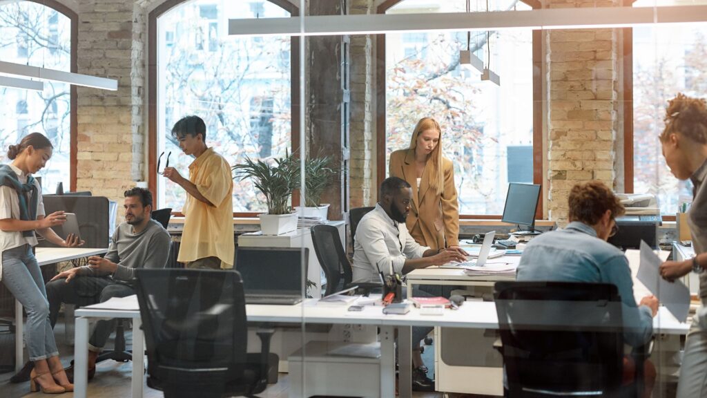 Proturnkey Workspace strategy and renovations