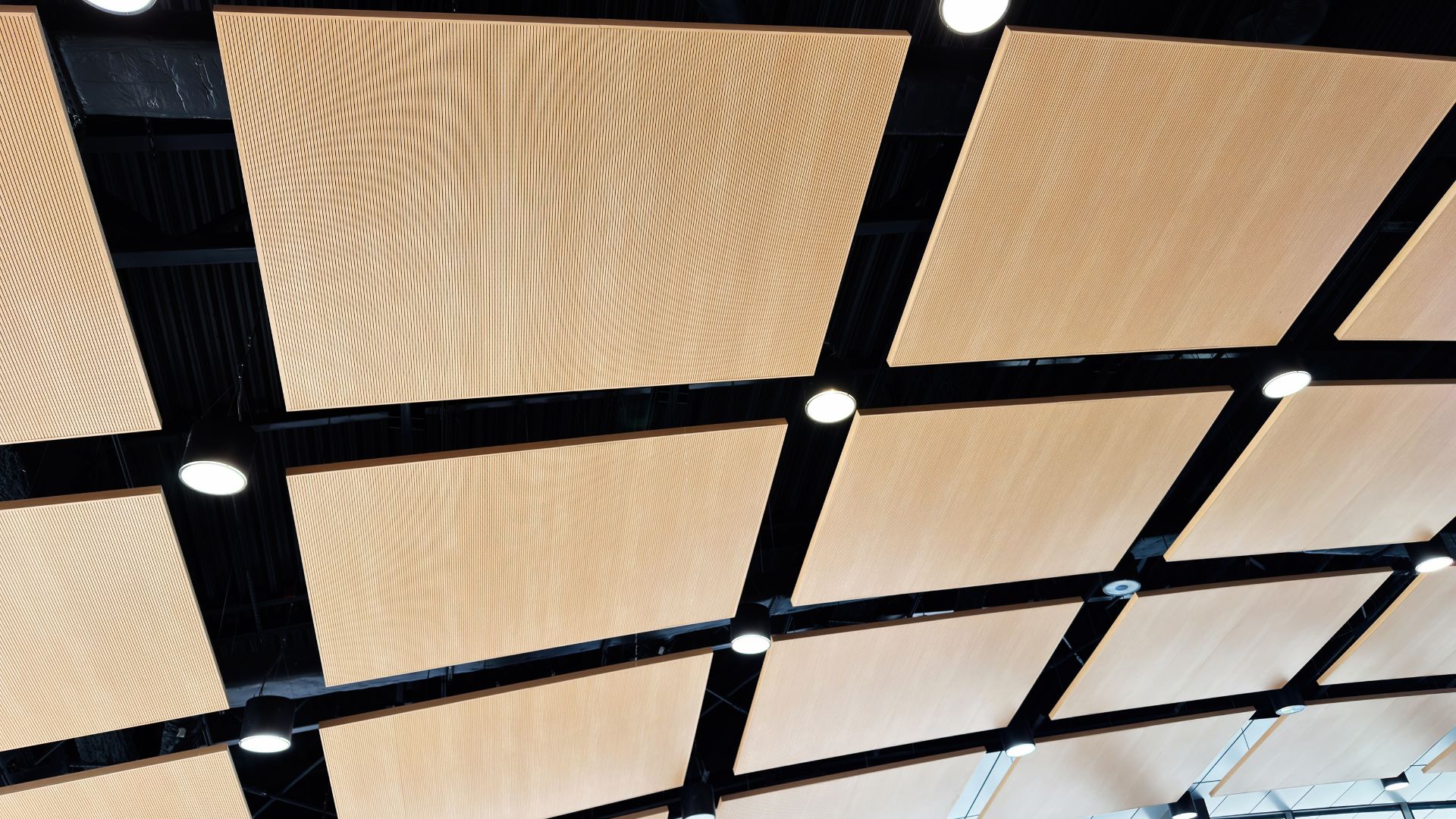 Accessible Office Design in South Africa | Proturnkey